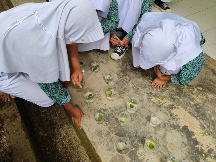 Siswa Kelas VII B Lakukan Praktikum Fotosintesis di Pelajaran IPA