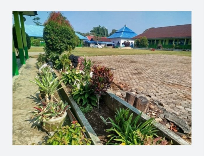 Pramubakti MTsN 4 Kerinci Percantik Taman Madrasah